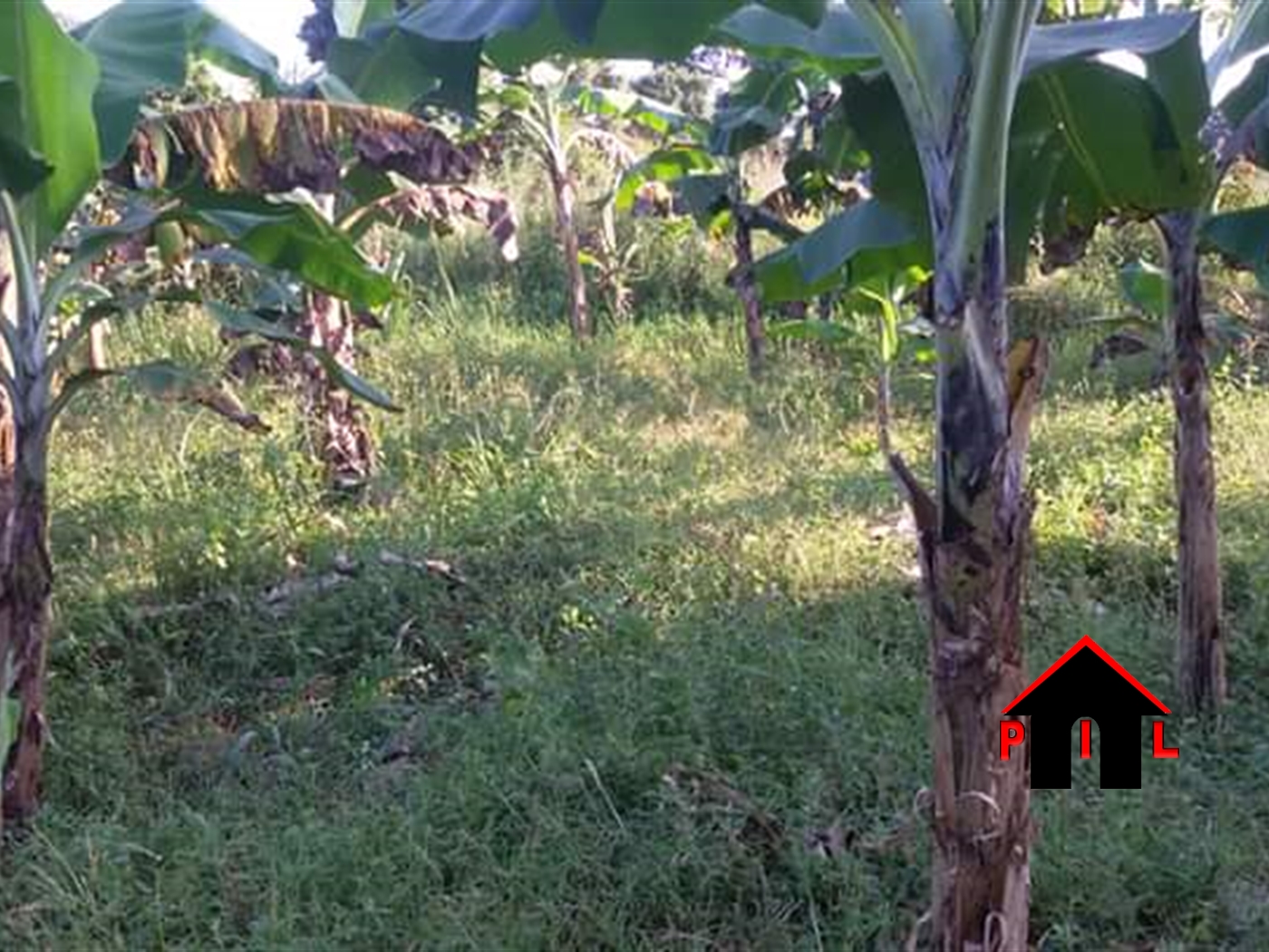 Commercial Land for sale in Kasanjje Wakiso