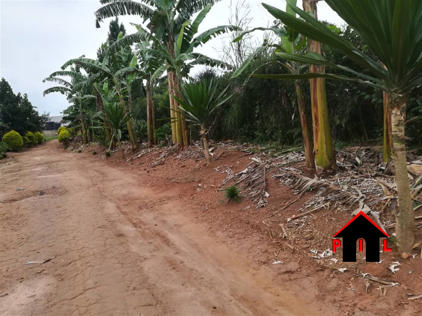 Agricultural Land for sale in Lukaya Masaka