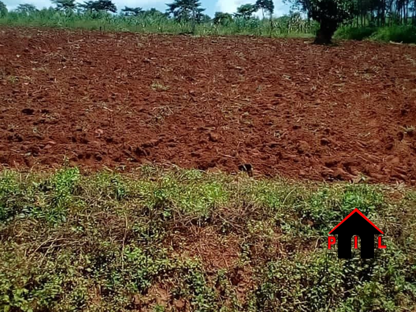 Agricultural Land for sale in Bukakata Masaka