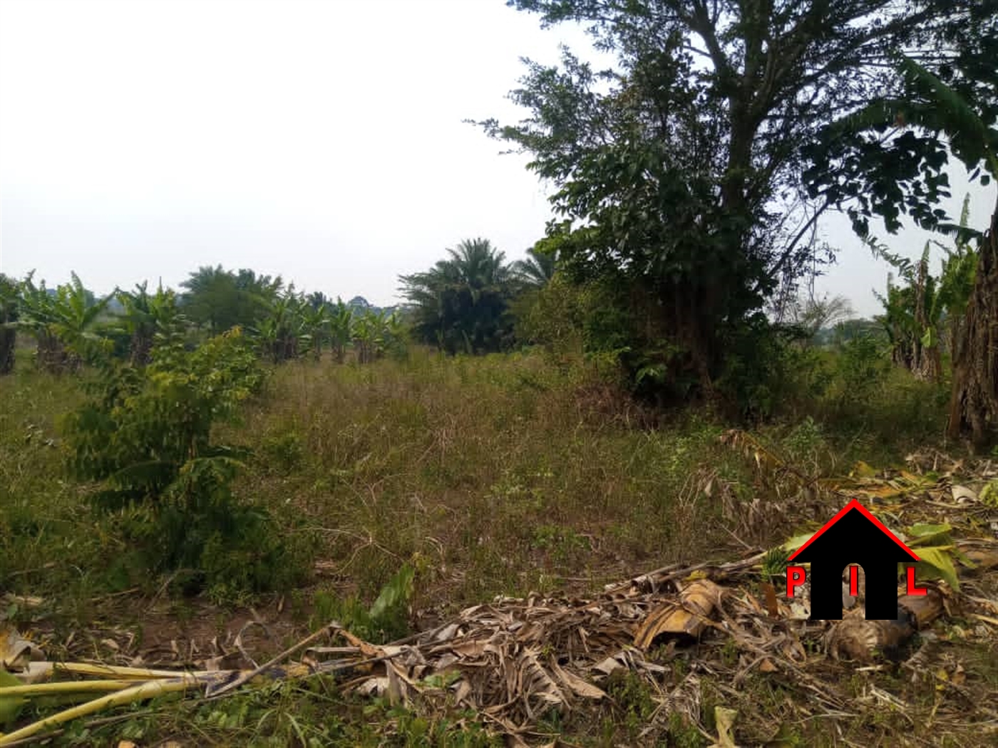 Agricultural Land for sale in Buwama Mpigi