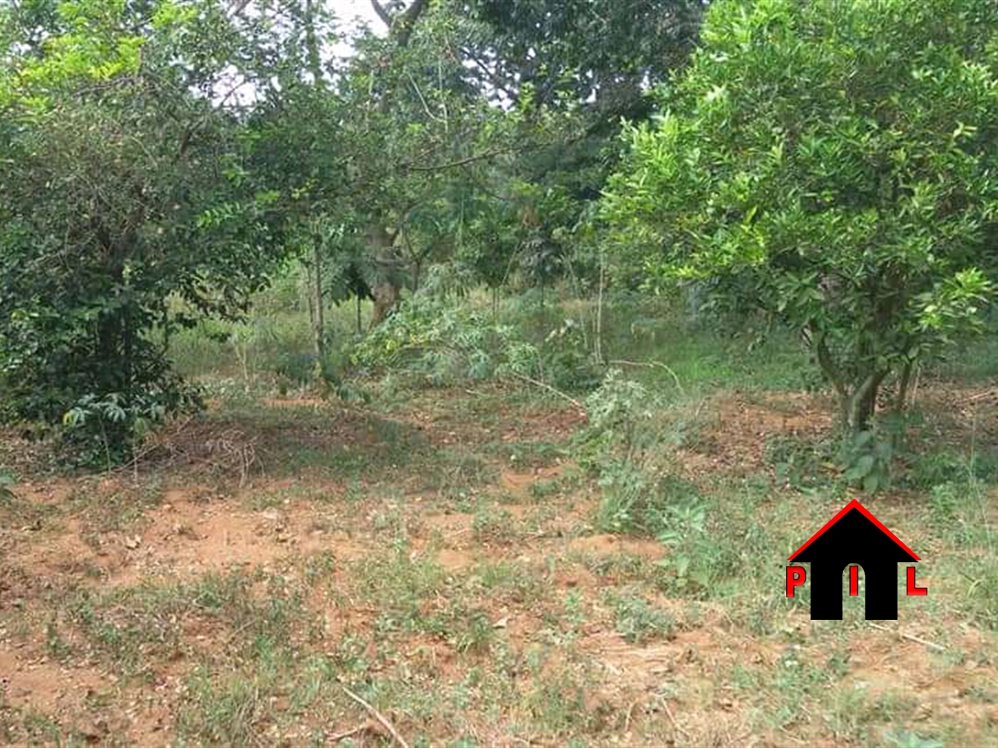 Agricultural Land for sale in Bukaga Butambala