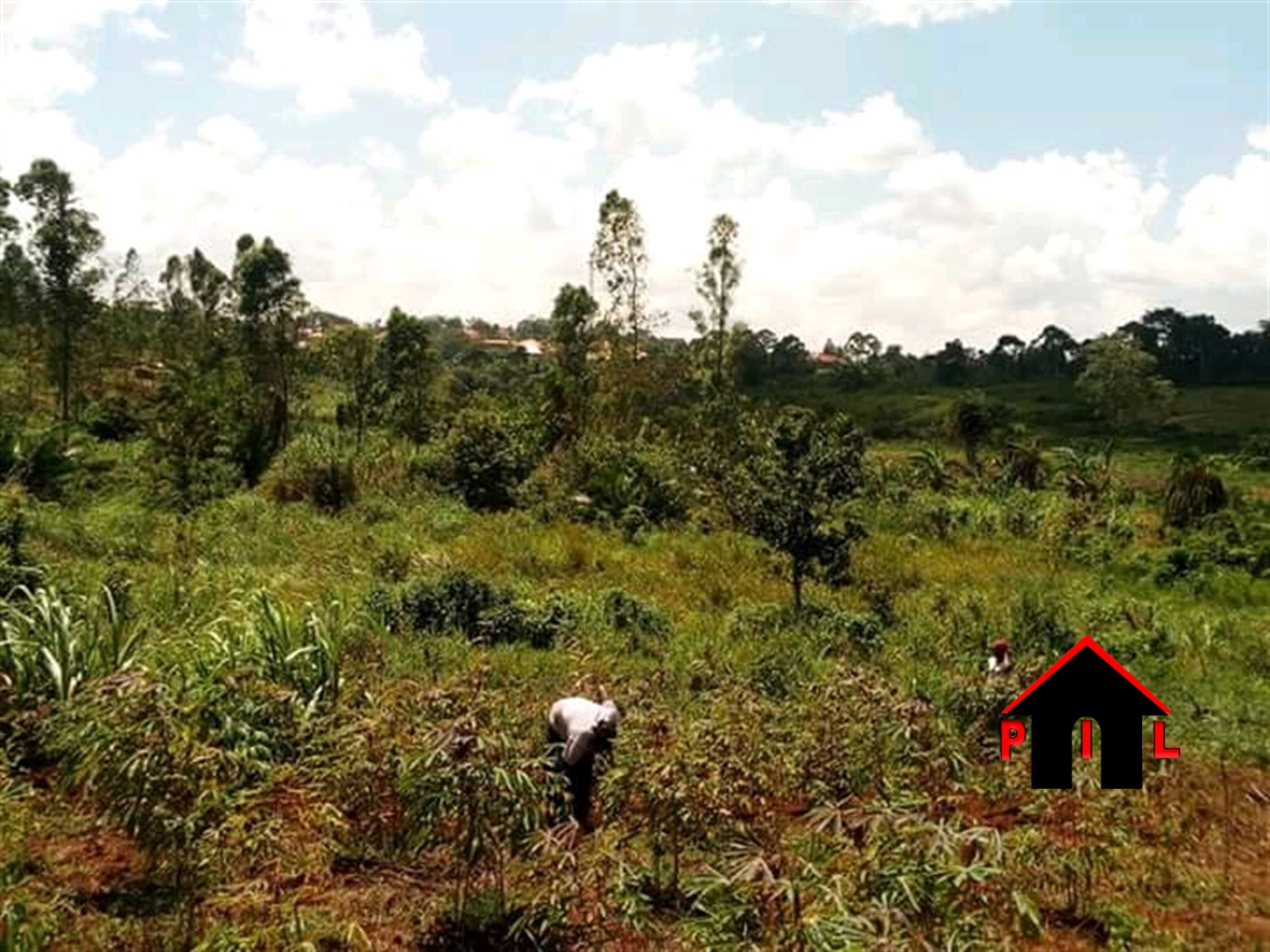 Agricultural Land for sale in Kilaga Masaka