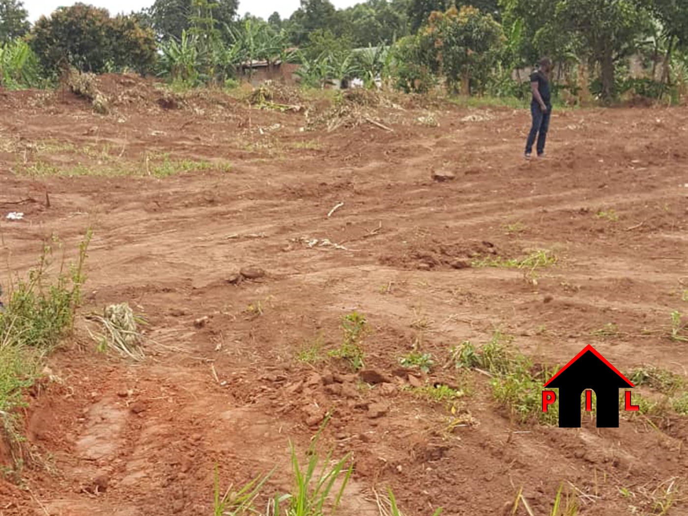 Agricultural Land for sale in Kikyuusa Luweero