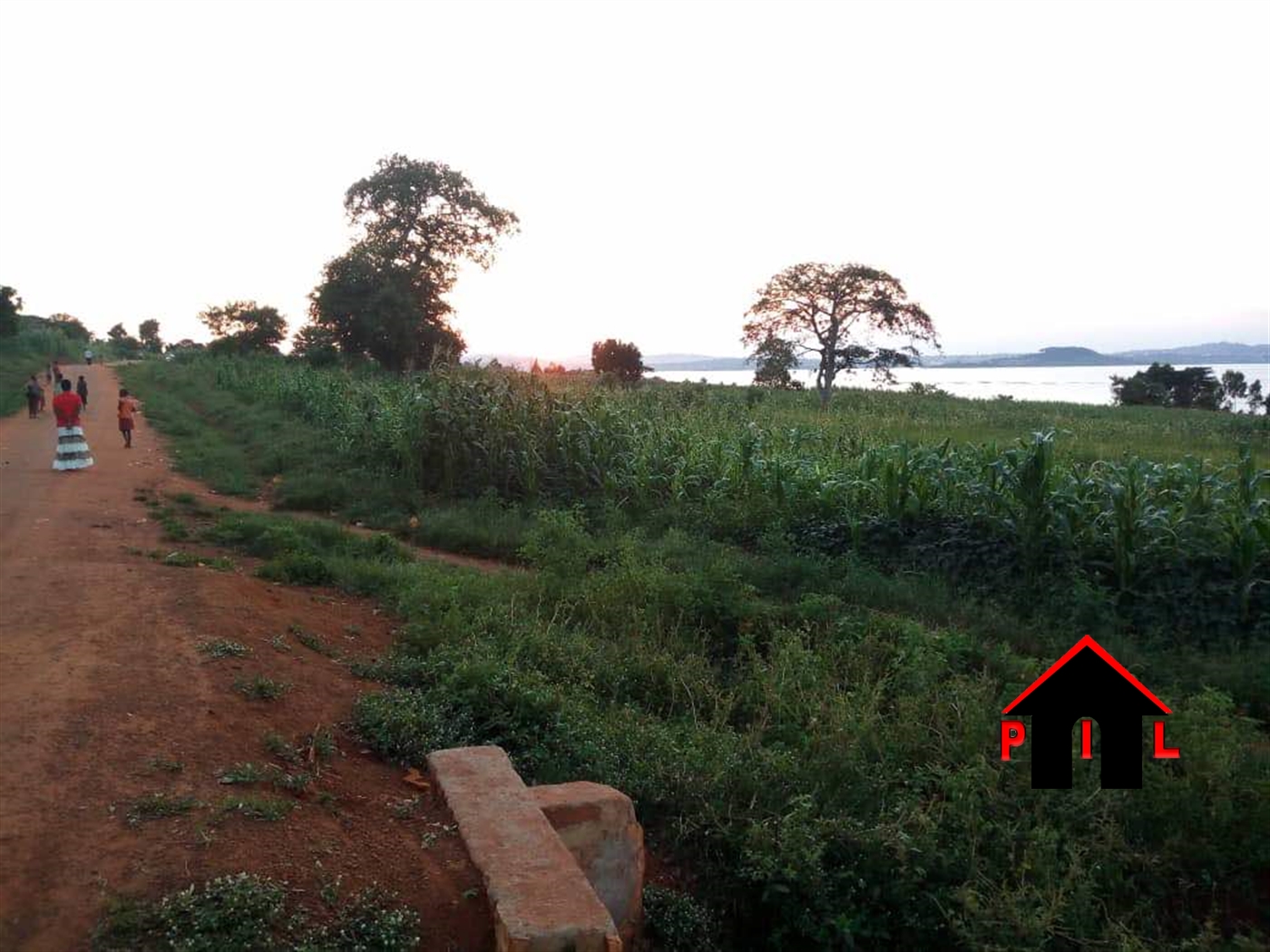 Agricultural Land for sale in Wabinyonyi Nakasongola