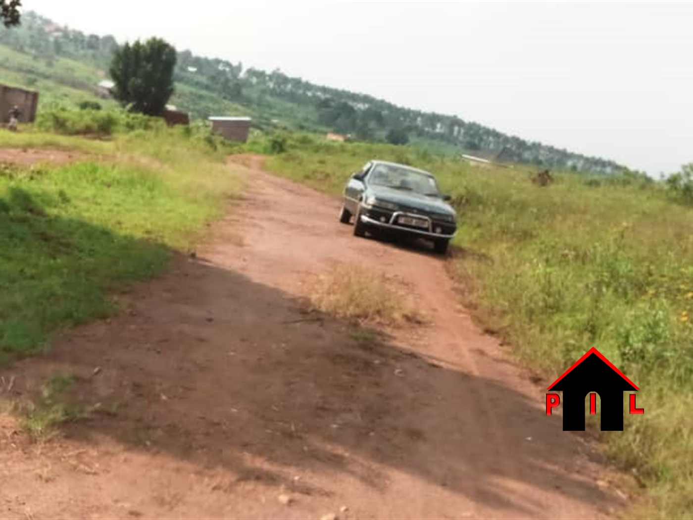 Agricultural Land for sale in Ntenjjeru Mukono