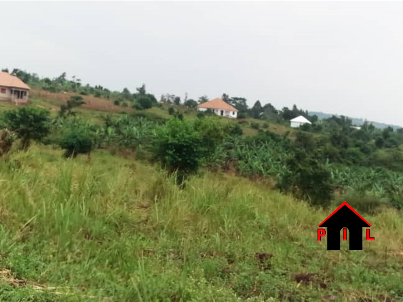 Agricultural Land for sale in Bukuya Mubende