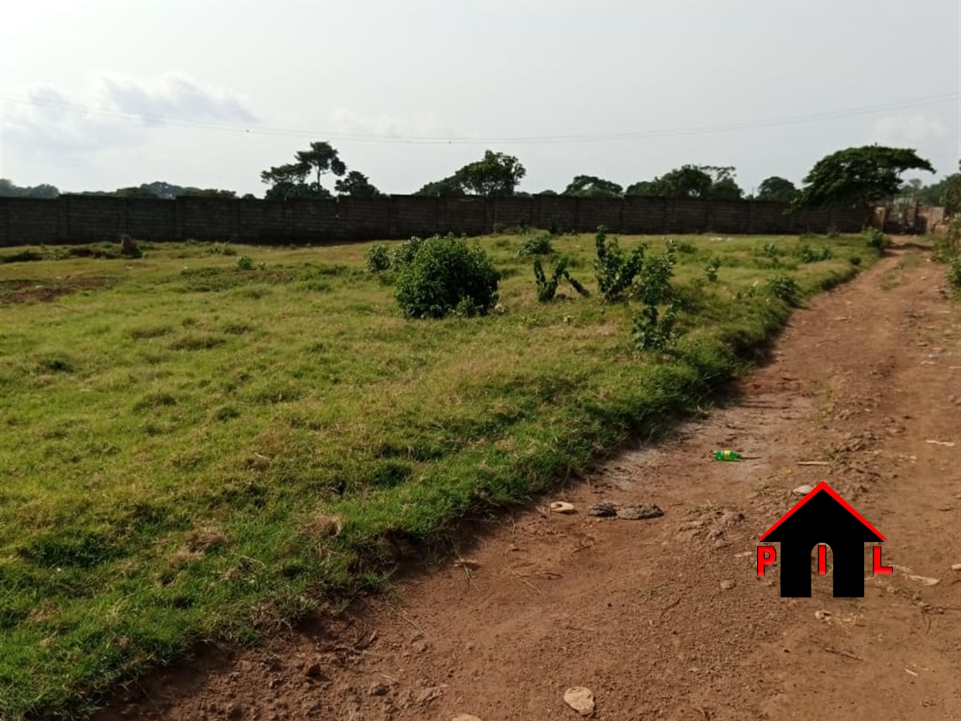 Agricultural Land for sale in Kimengo Masindi