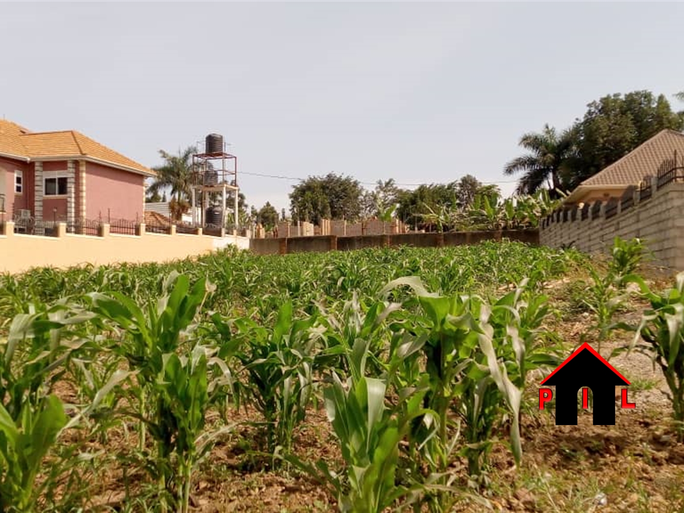 Agricultural Land for sale in Nakifuma Mukono