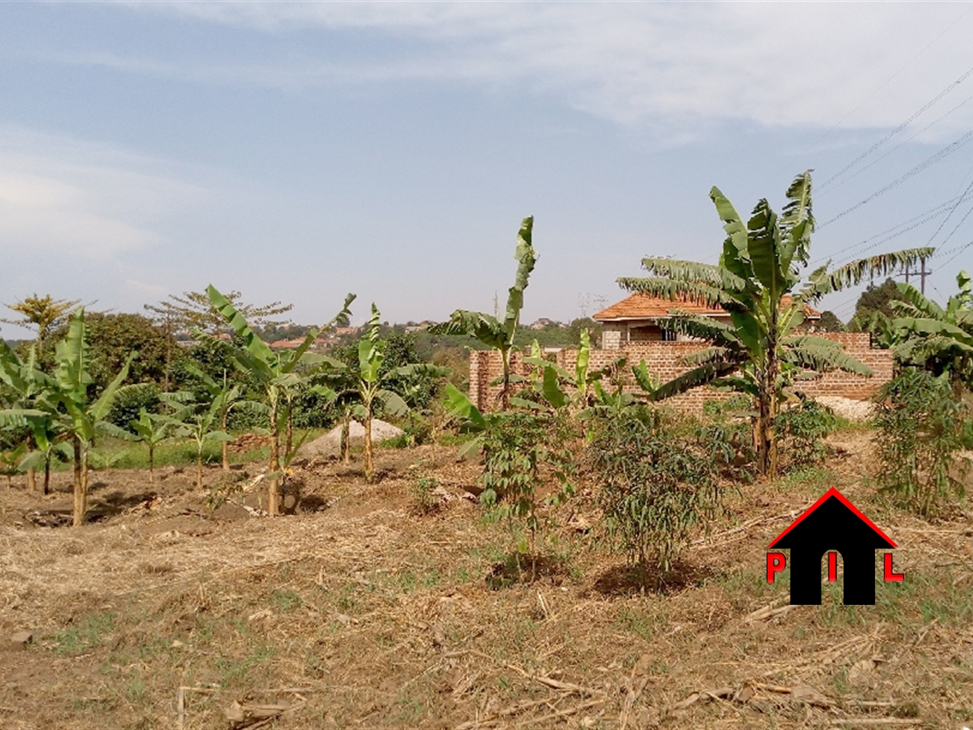 Agricultural Land for sale in Mbazi Mukono