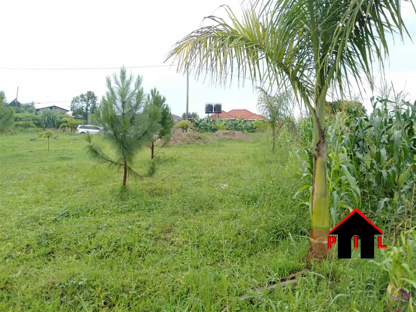 Agricultural Land for sale in Mpoma Mukono