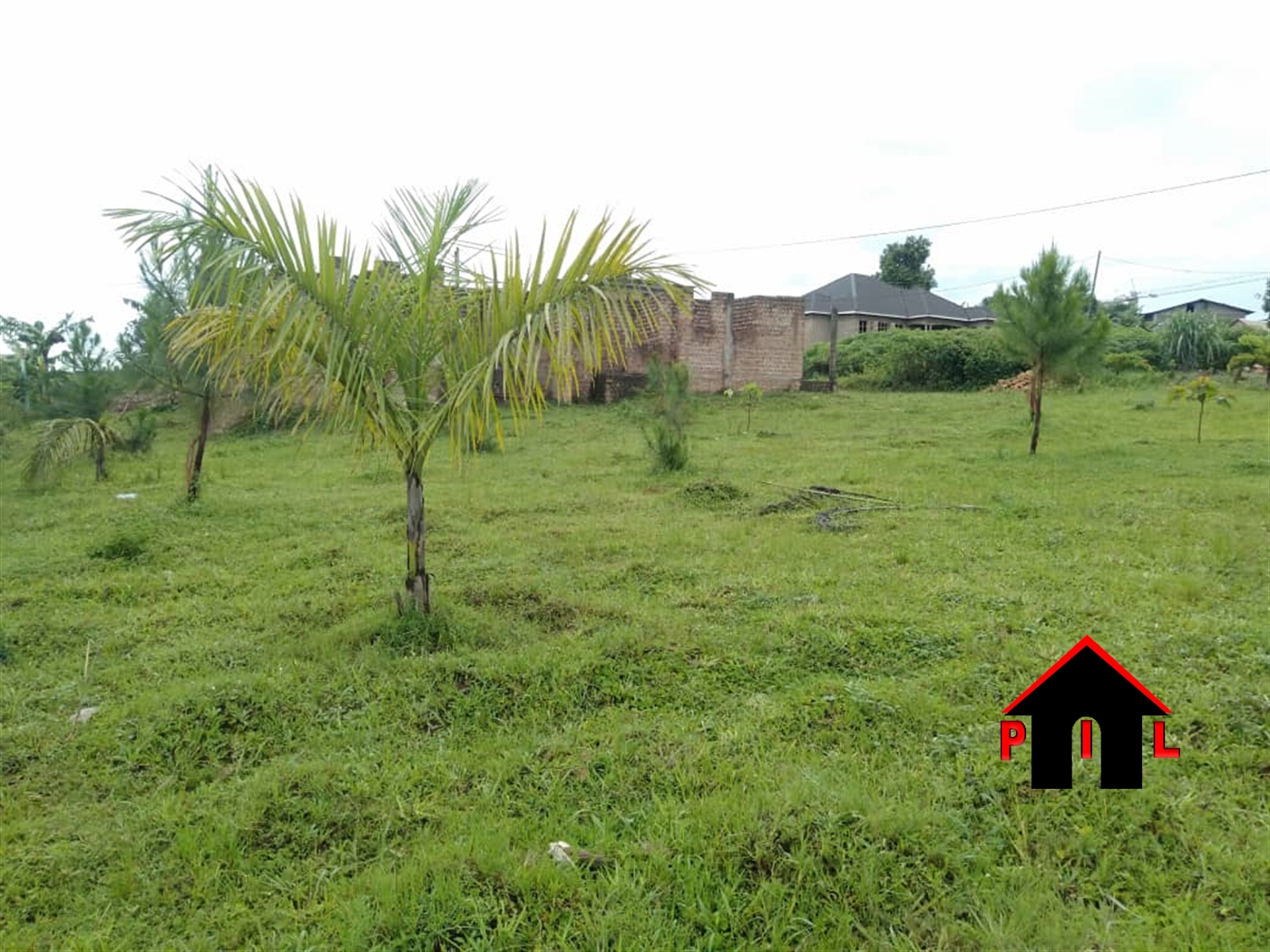 Agricultural Land for sale in Mpoma Mukono