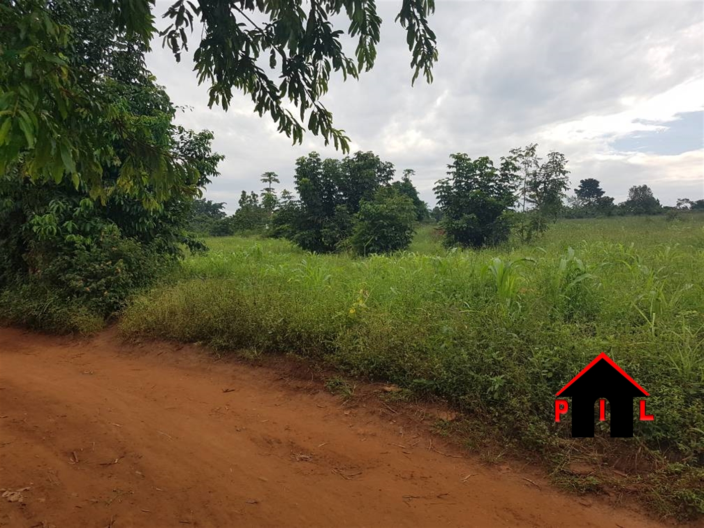 Agricultural Land for sale in Madudu Masindi