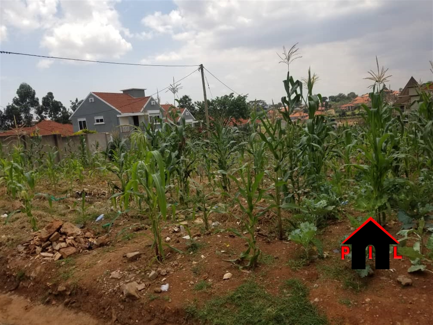 Agricultural Land for sale in Kaina Nakaseke