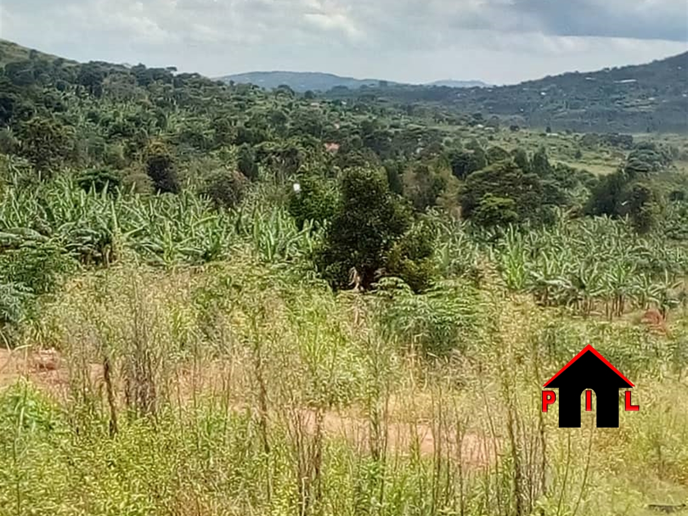 Agricultural Land for sale in Kyotela Masaka