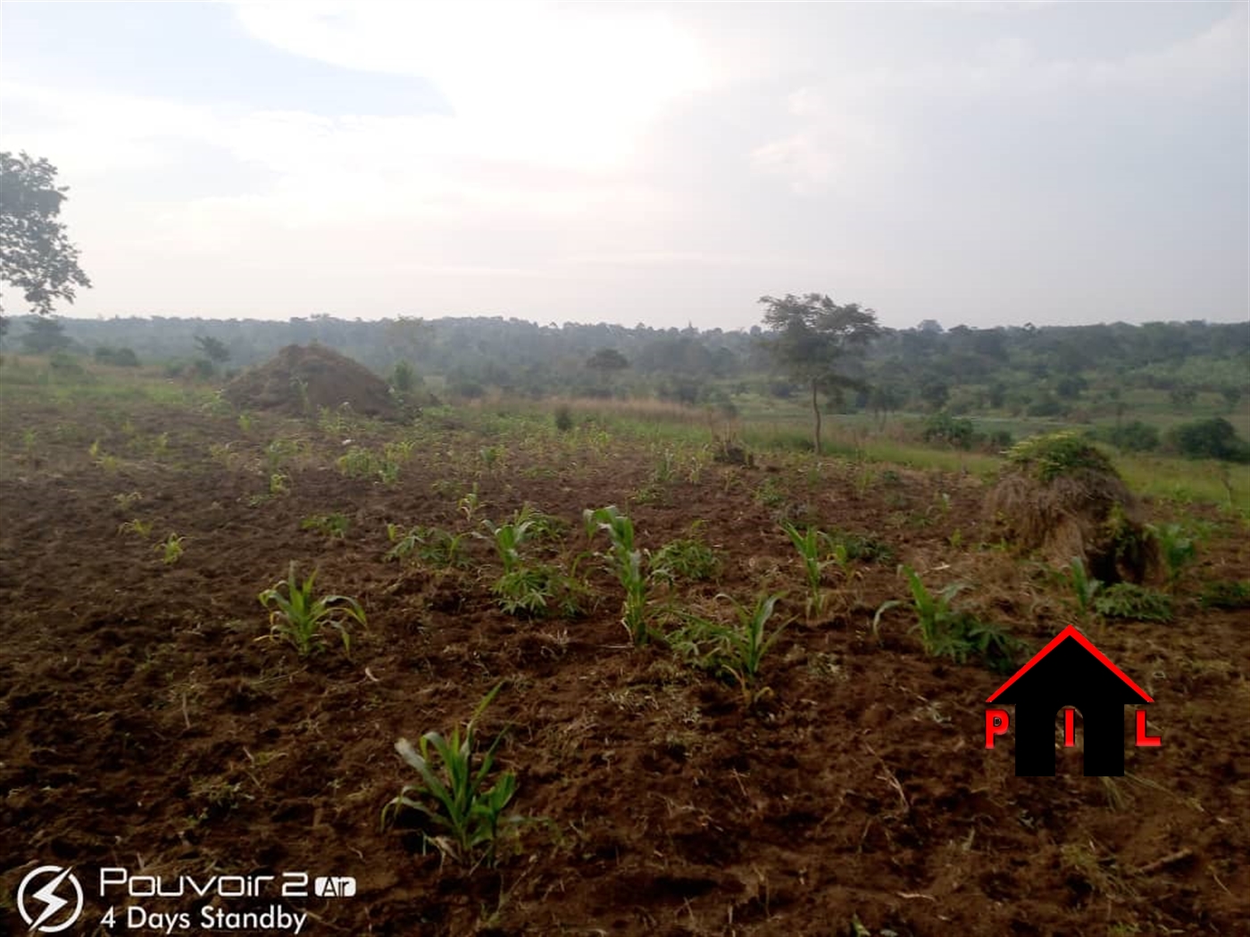 Agricultural Land for sale in Bulambuli Buyikwe