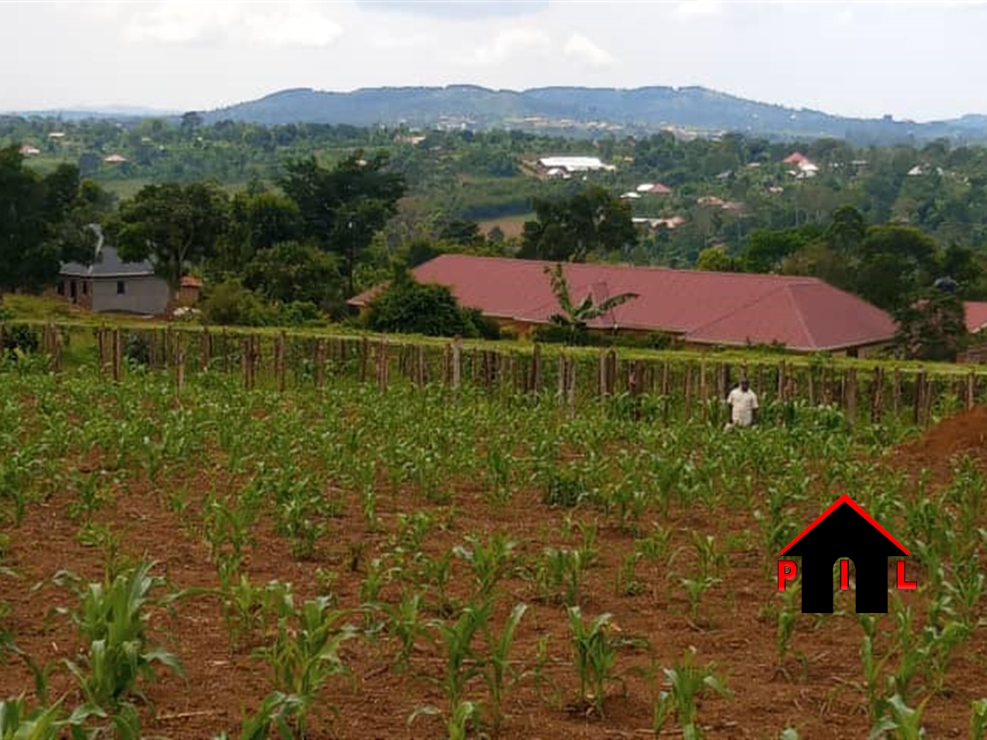 Agricultural Land for sale in Nwoya Nebbi