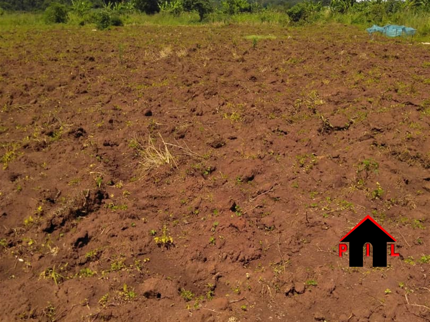 Agricultural Land for sale in Nwoya Nebbi