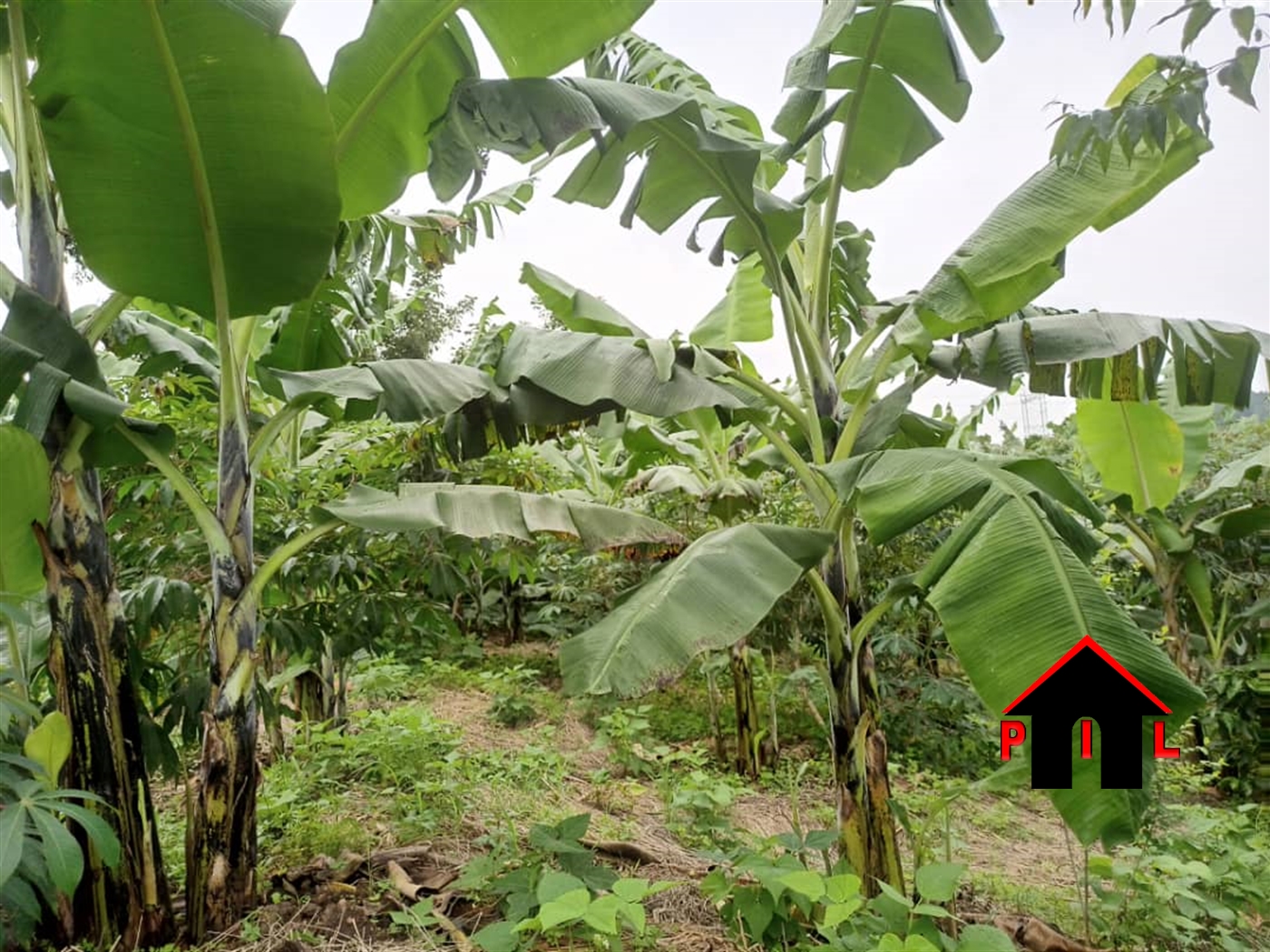 Residential Land for sale in Matugga Wakiso