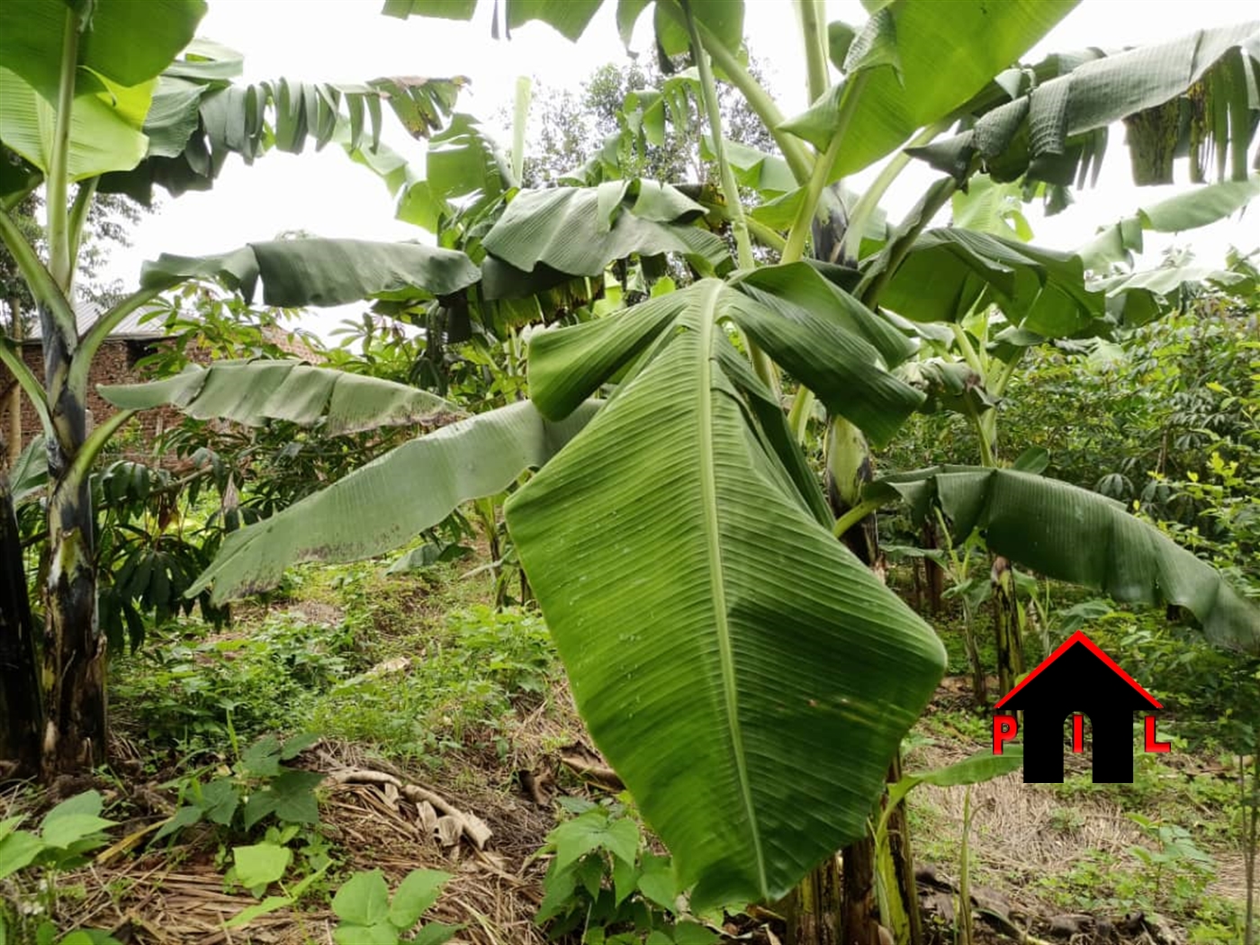 Residential Land for sale in Matugga Wakiso