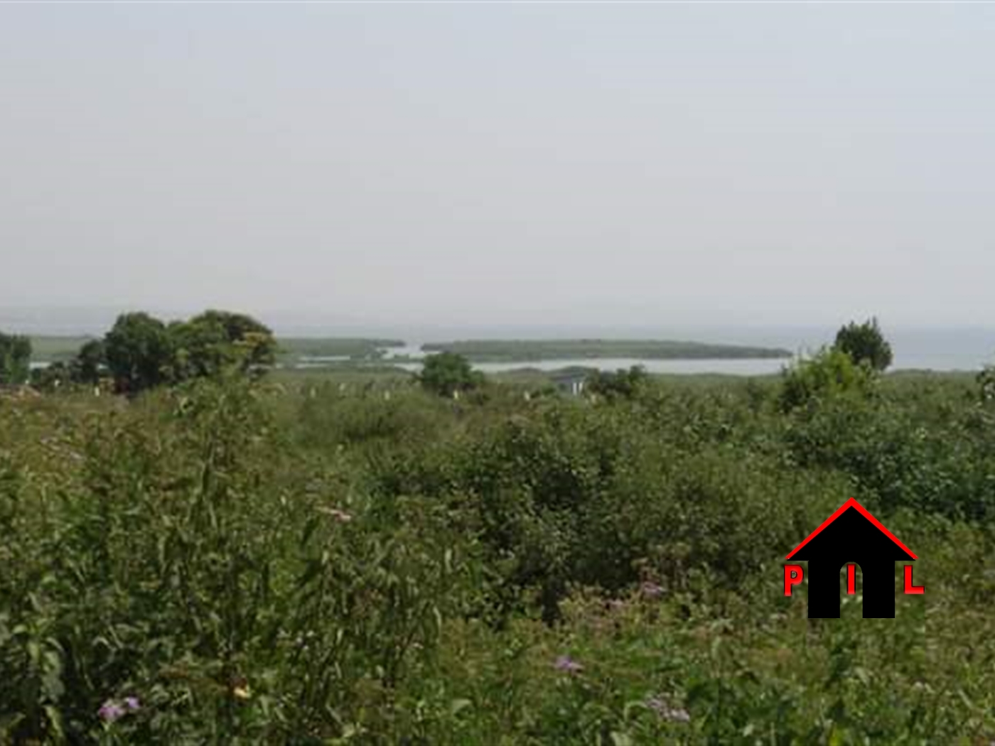 Agricultural Land for sale in Kakonge Butambala