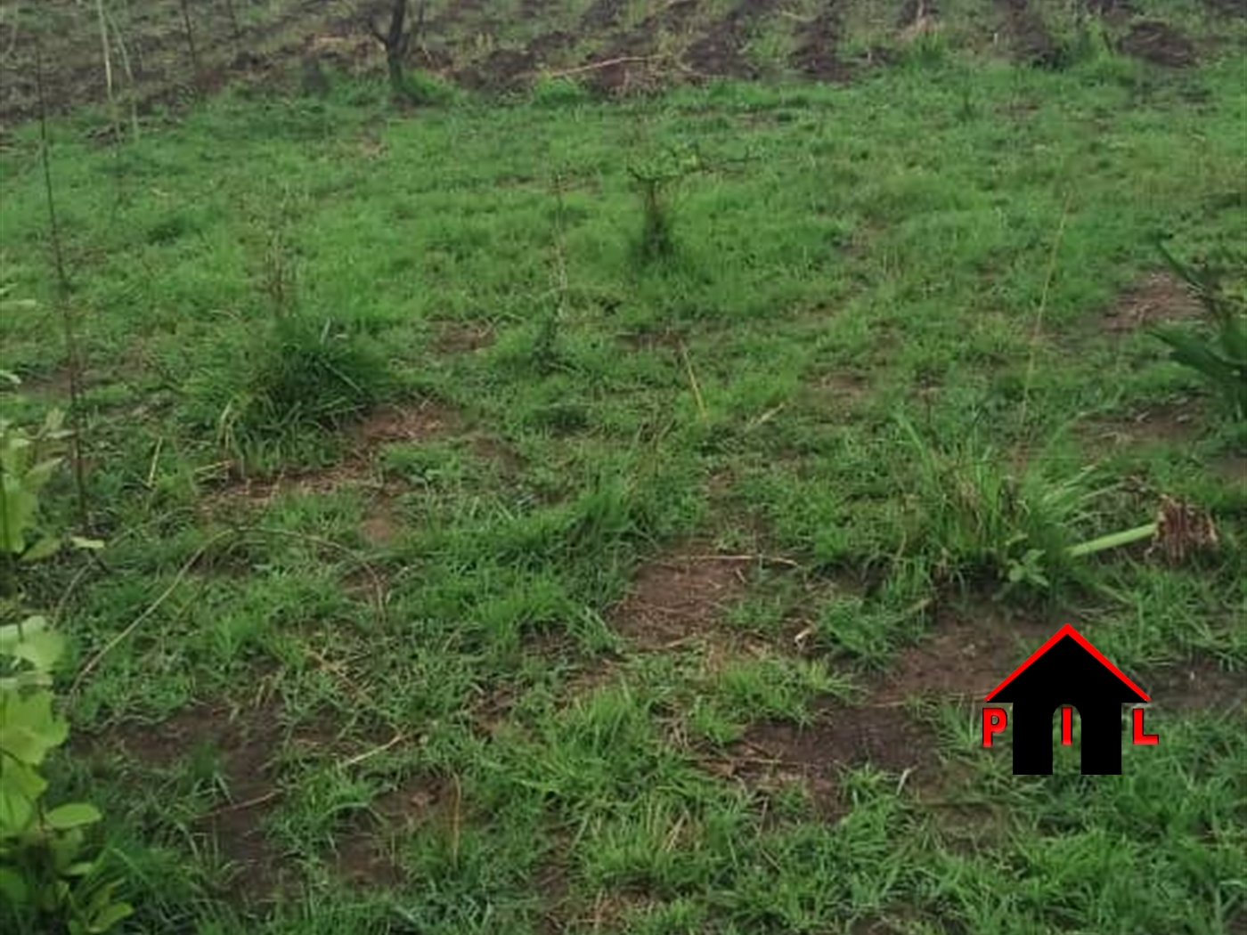 Agricultural Land for sale in Mukiganda Mubende