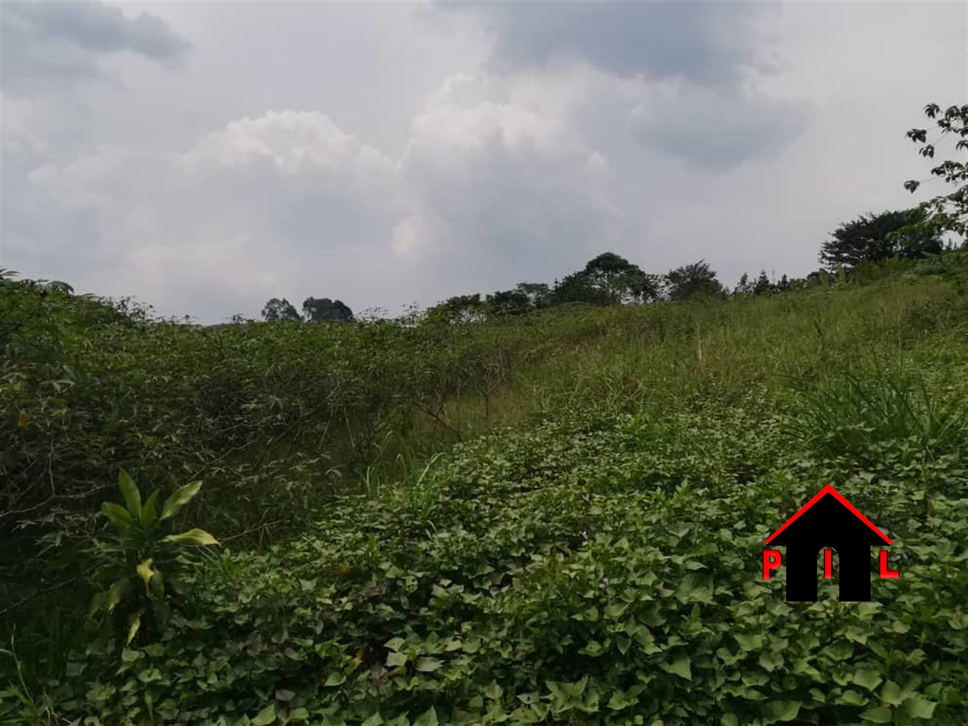 Agricultural Land for sale in Kassanda Gomba