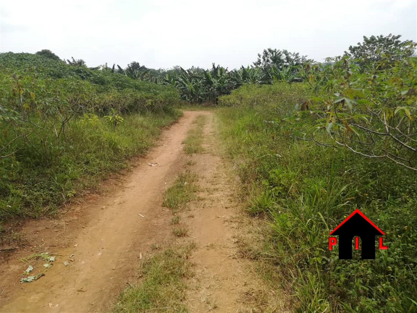 Agricultural Land for sale in Kassanda Gomba