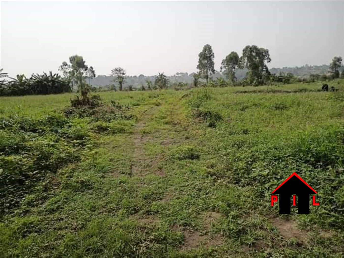 Agricultural Land for sale in Kasenselo Masaka