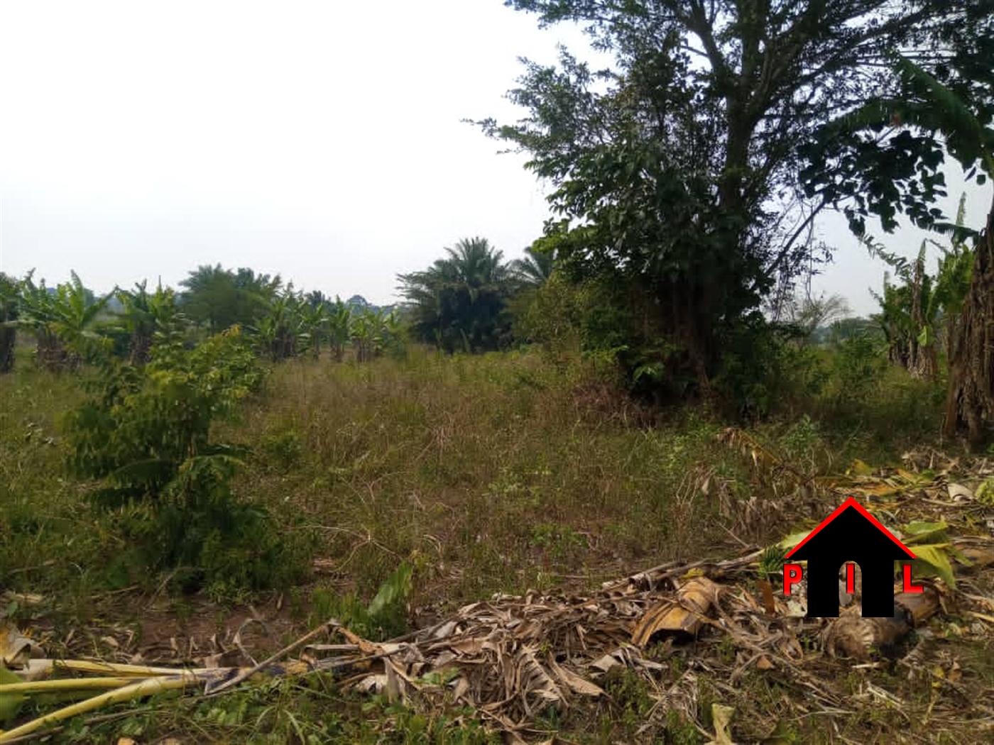 Agricultural Land for sale in Masode Kiboga