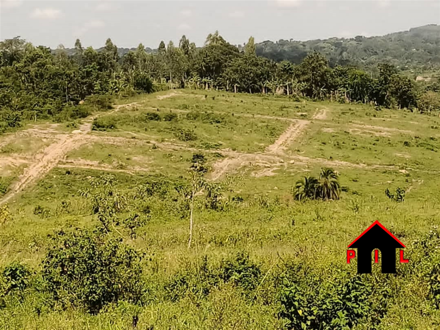 Agricultural Land for sale in Wakyato Nakaseke