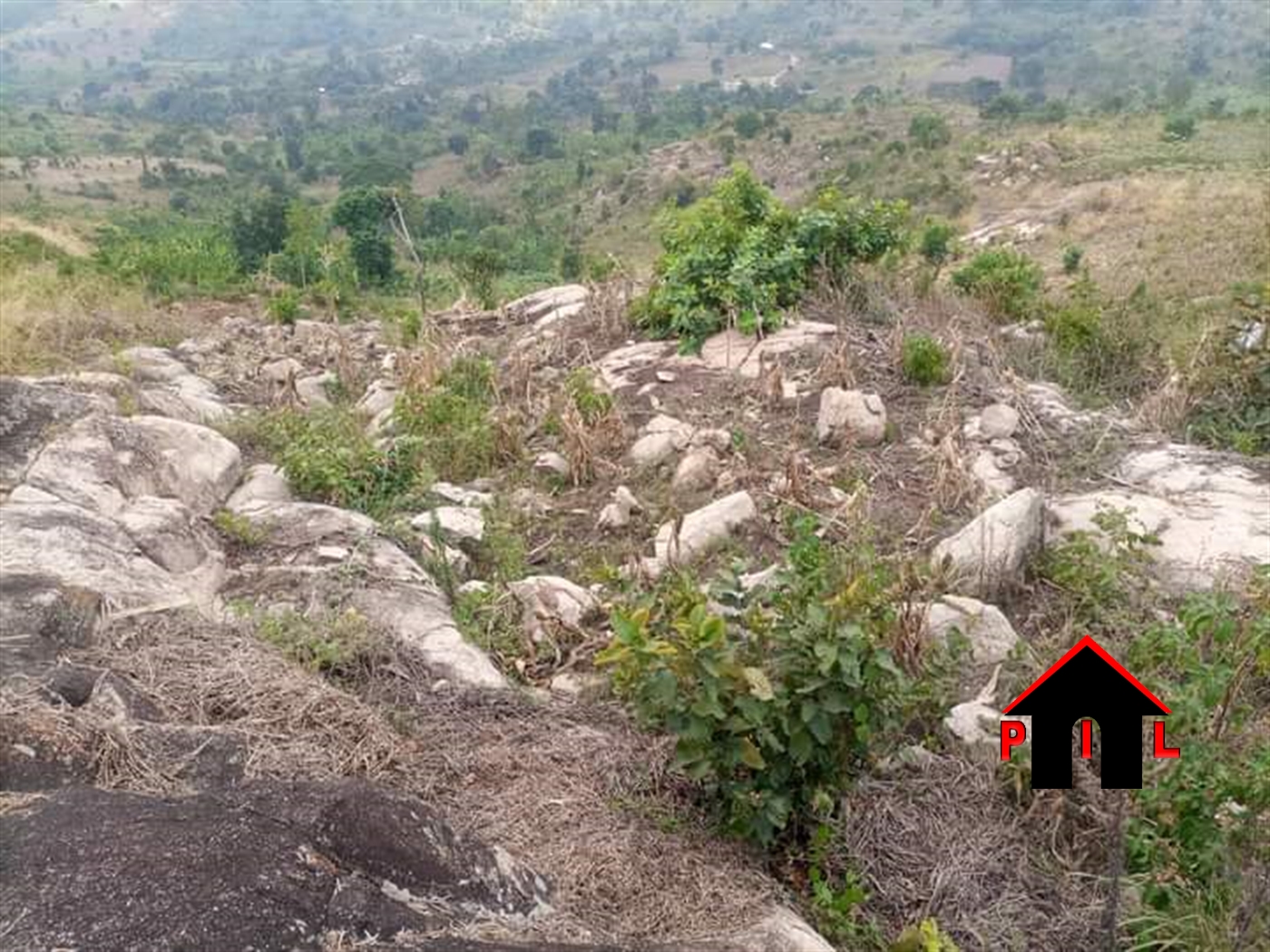 Agricultural Land for sale in Nwoya Masindi