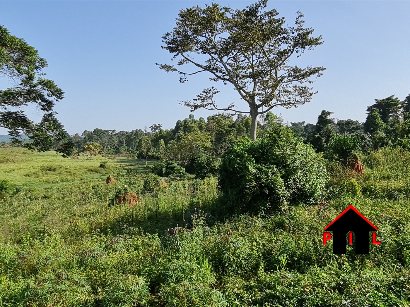 Agricultural Land for sale in Amuru Gulu