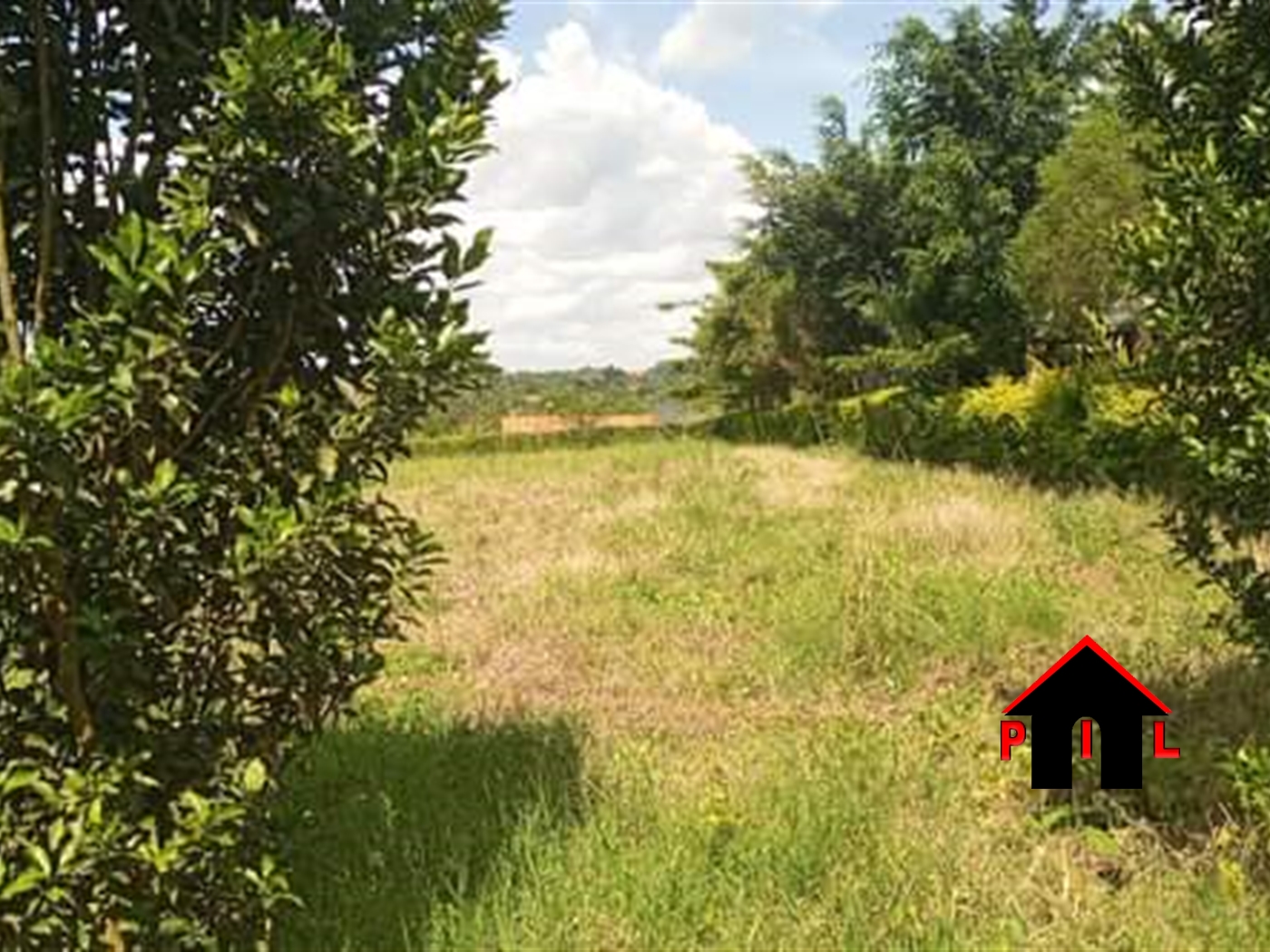 Agricultural Land for sale in Agogo Pader