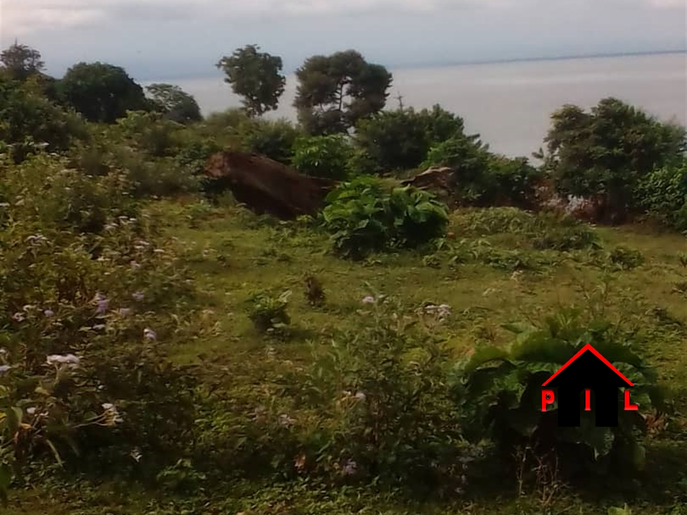 Agricultural Land for sale in Rukomera Luweero