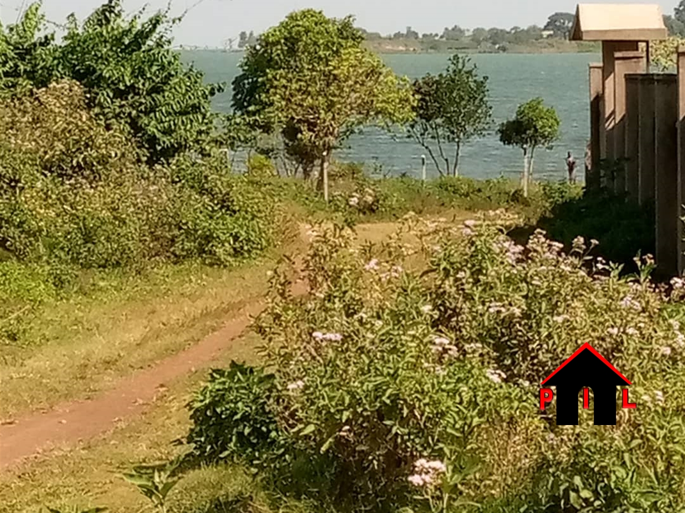 Agricultural Land for sale in Ngagi Luweero