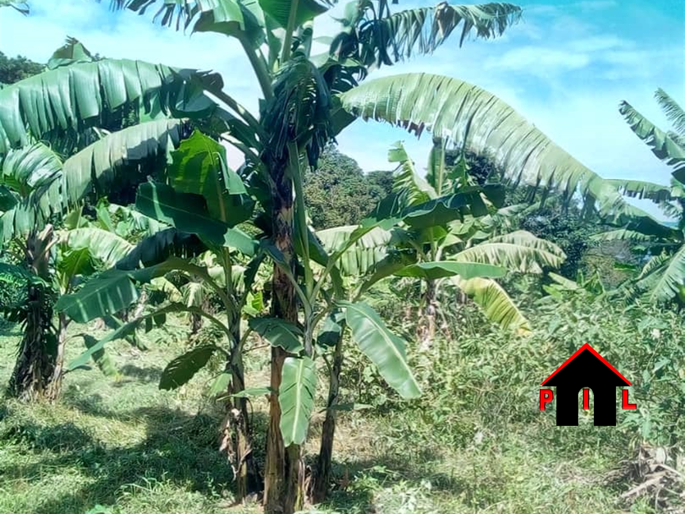 Residential Land for sale in Bukasa Bugiri