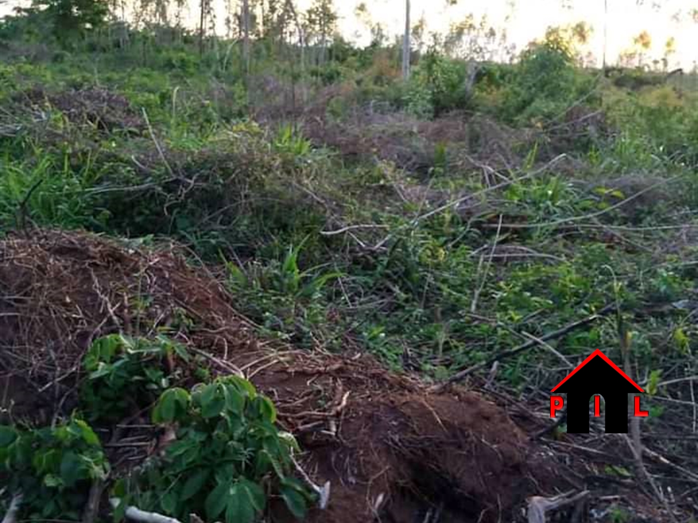 Agricultural Land for sale in Katuugo Luweero