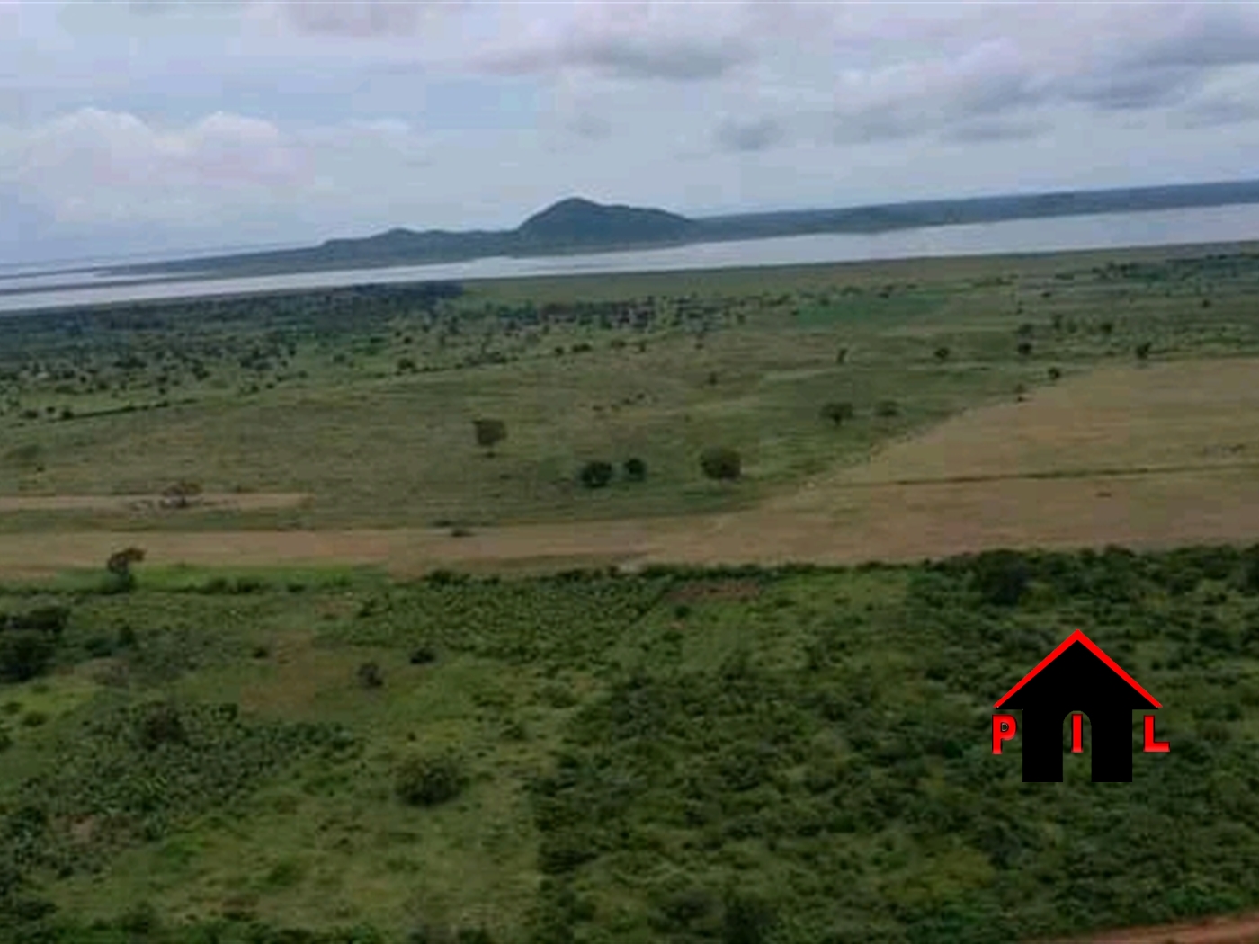 Agricultural Land for sale in Bbaale Kayunga