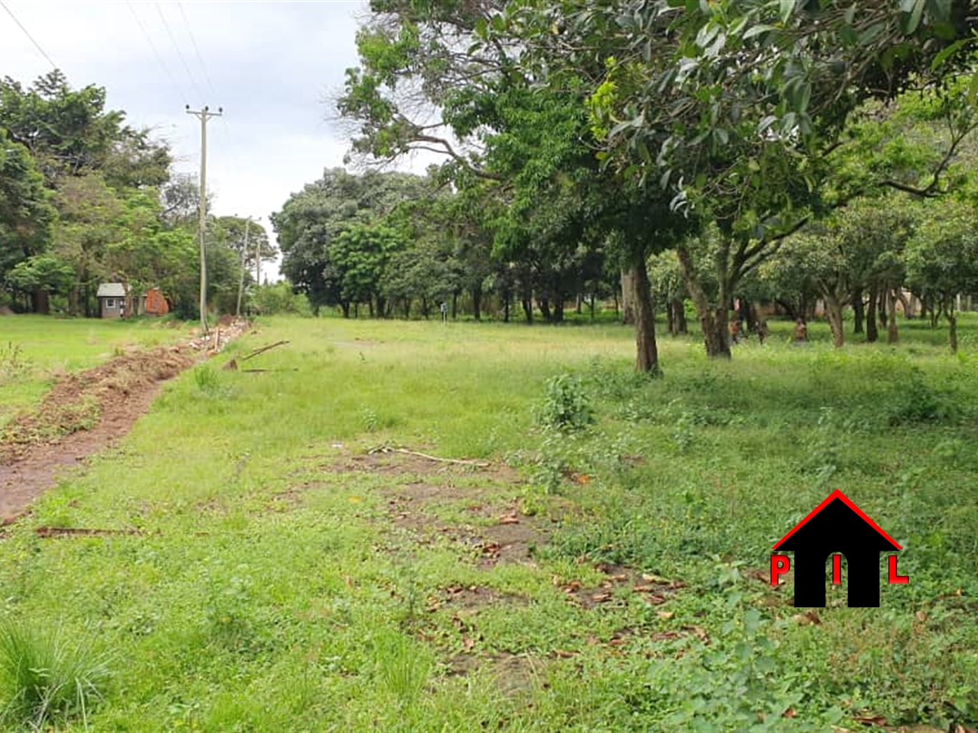 Agricultural Land for sale in Kibingo Busheenyi