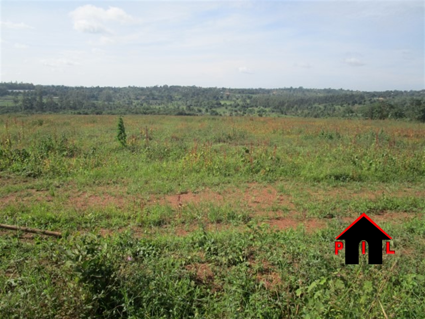 Agricultural Land for sale in Ngombele Mukono