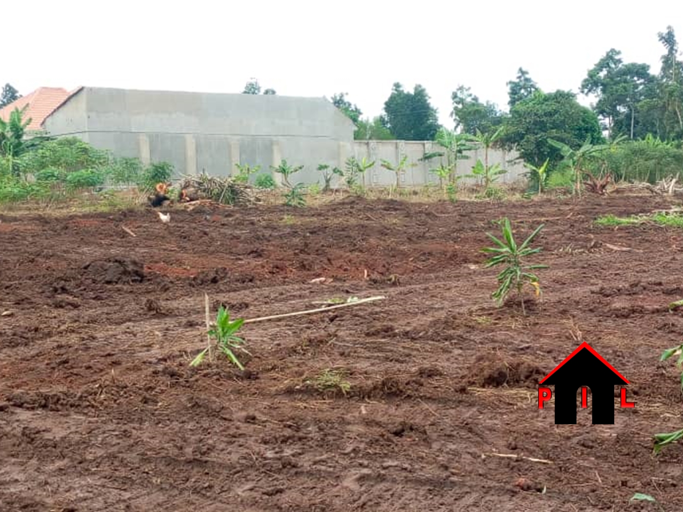 Agricultural Land for sale in Mpangatti Luwero