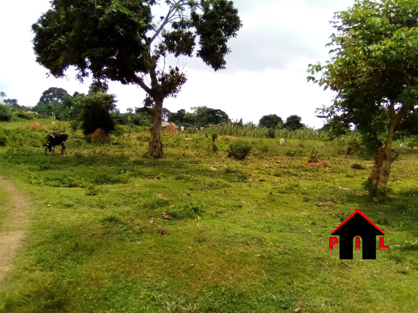 Agricultural Land for sale in Wakivule Wakiso