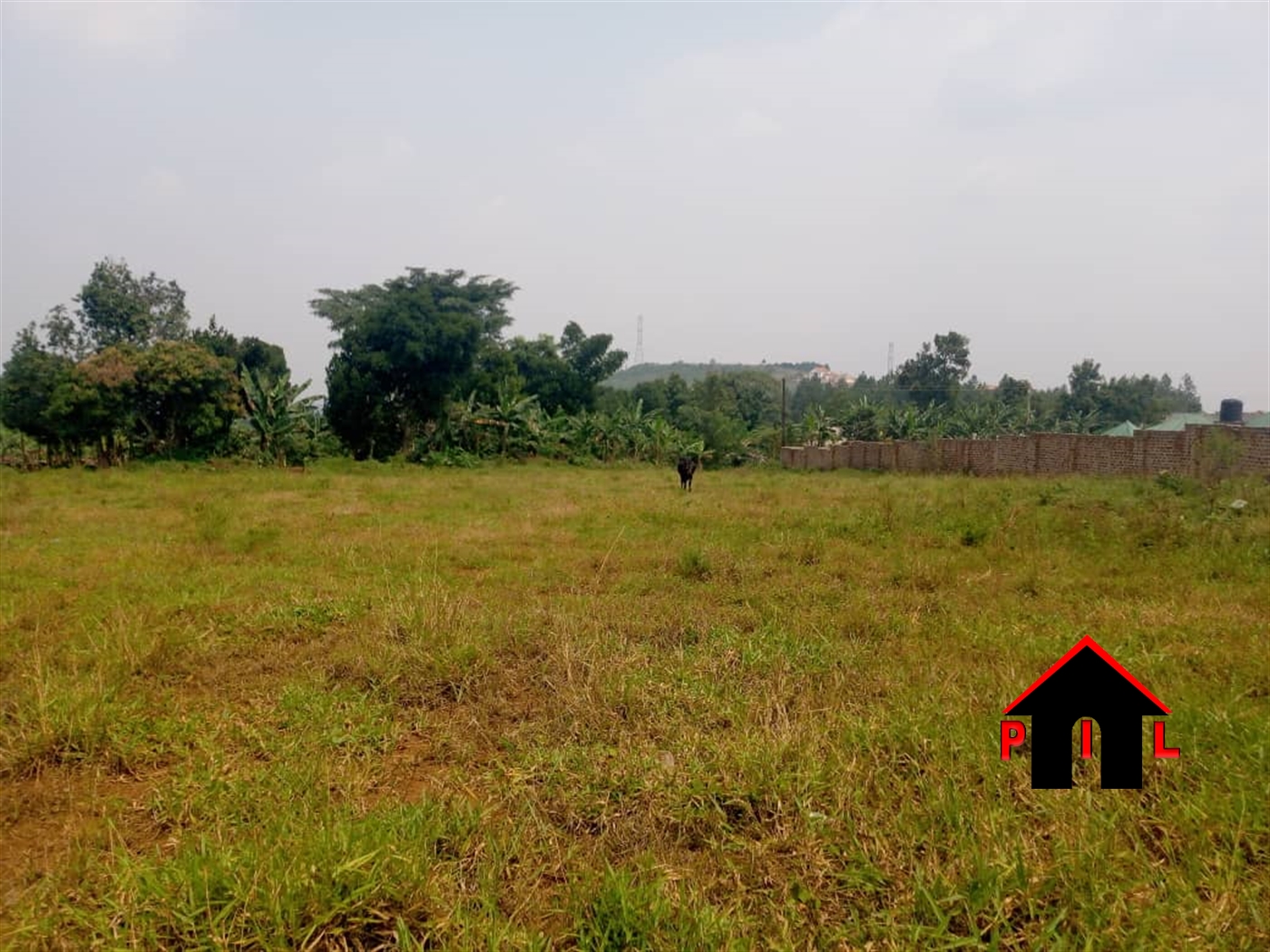 Agricultural Land for sale in Wobulenzi Luweero