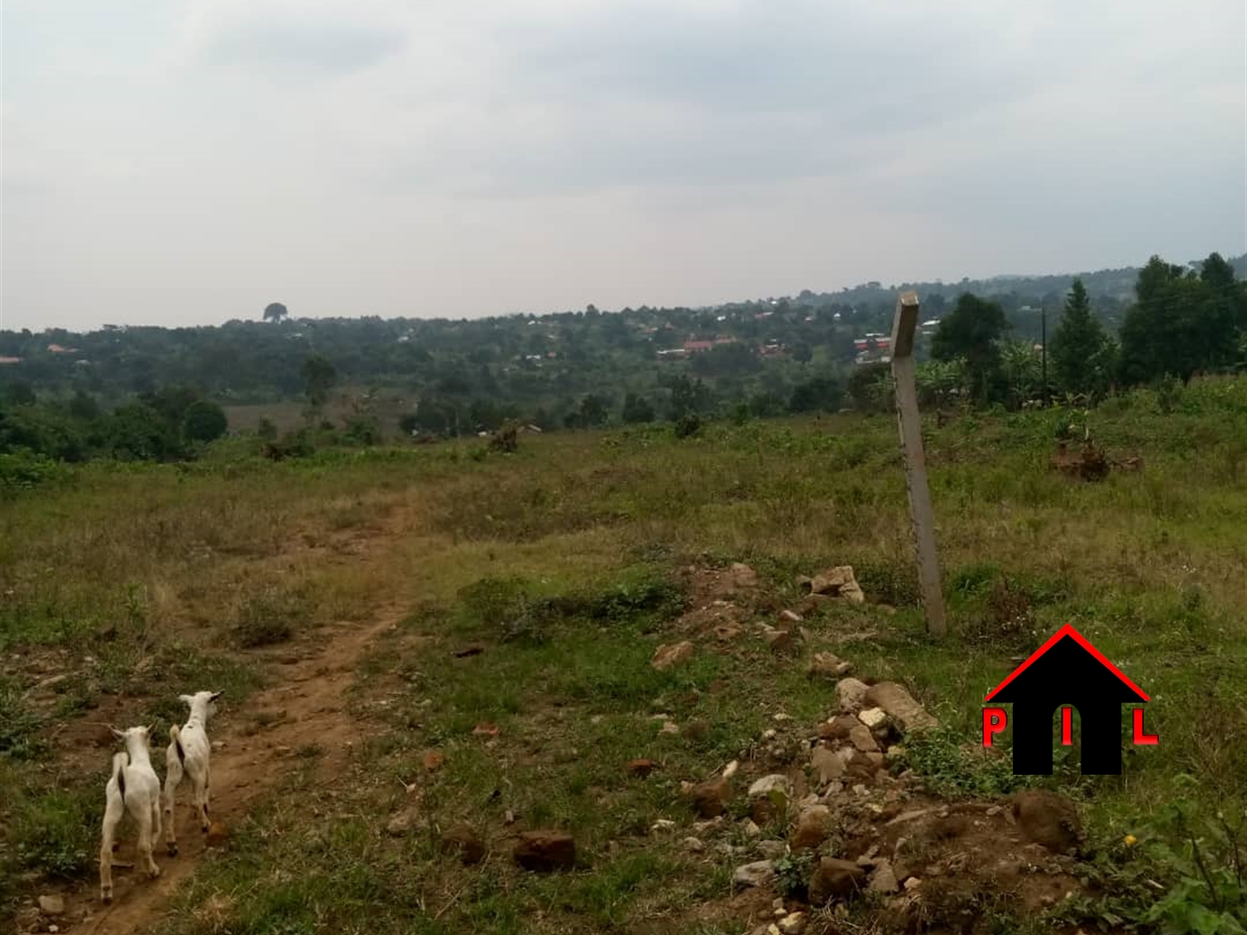 Agricultural Land for sale in Kapeeka Nakaseke