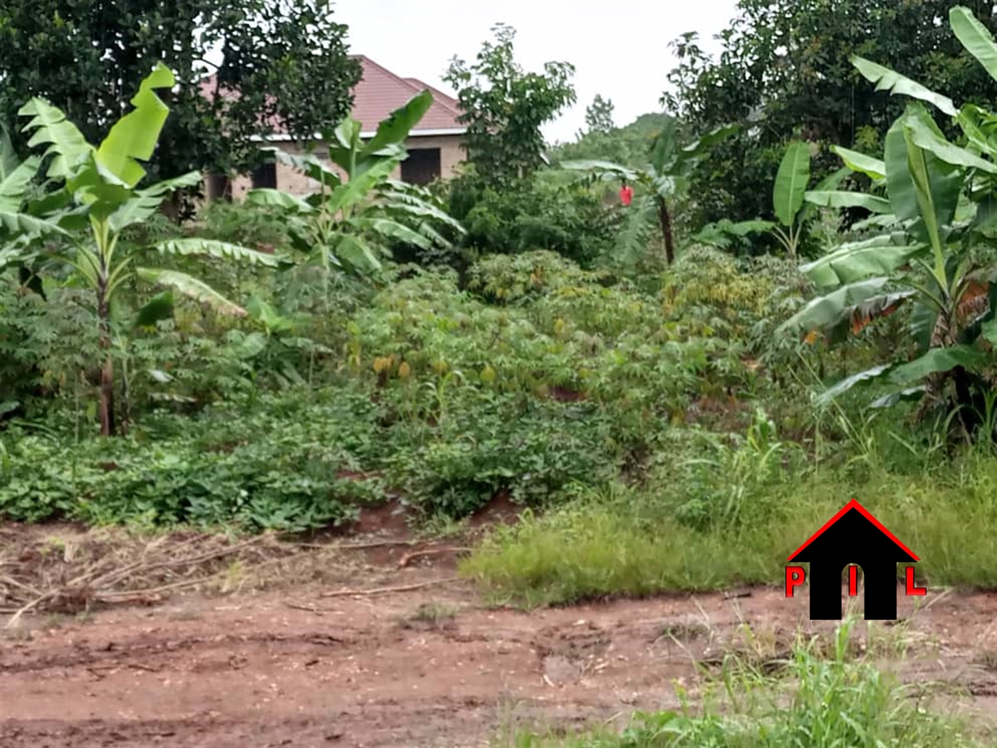 Residential Land for sale in Bukeelele Mukono