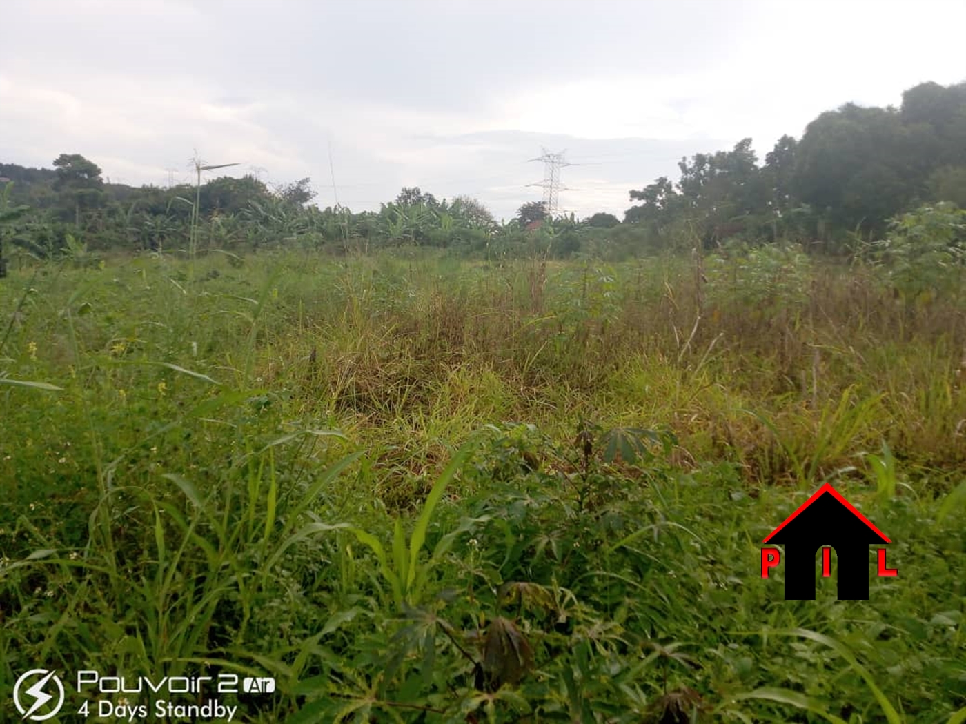 Agricultural Land for sale in Kasiiso Mukono