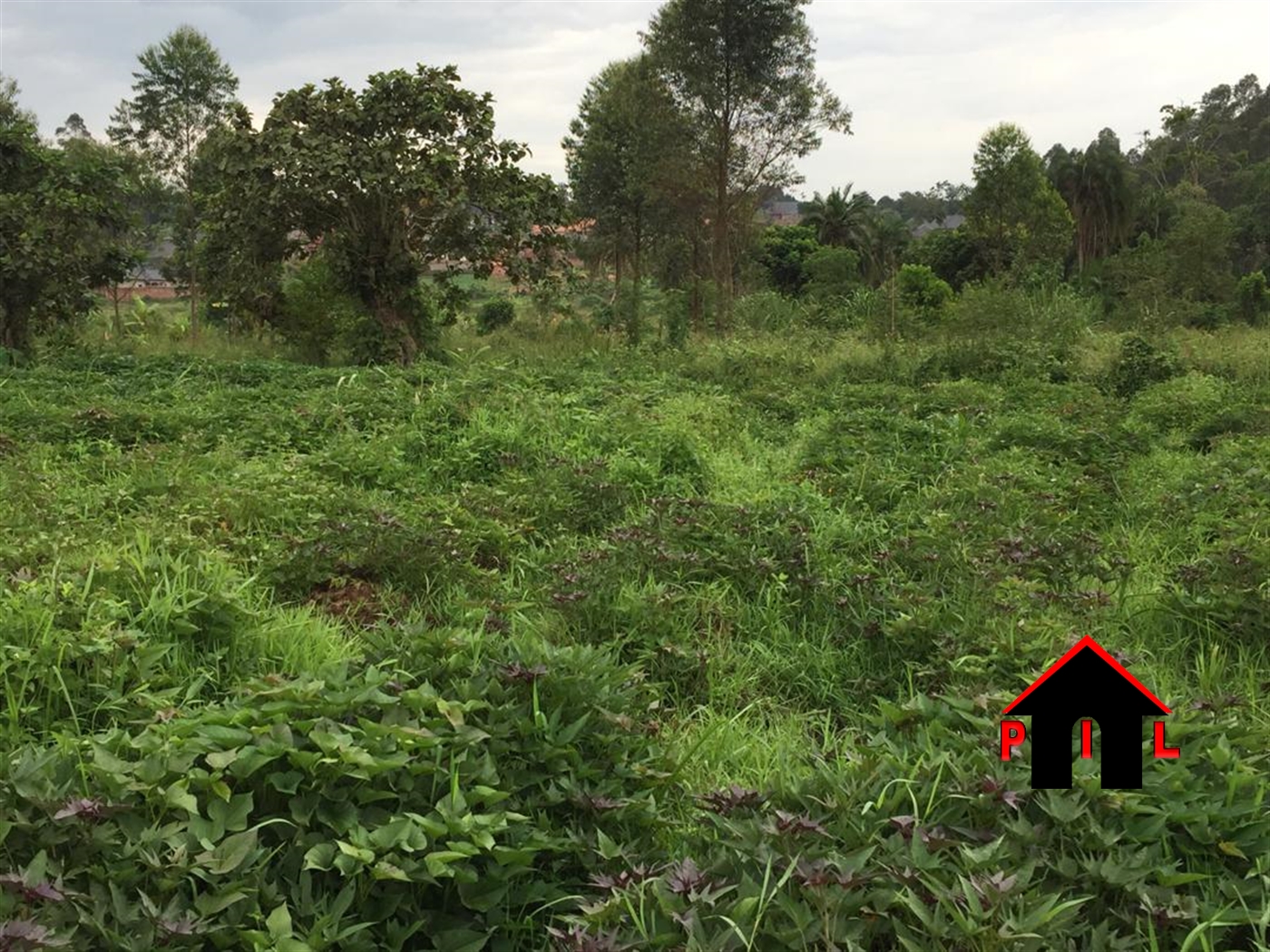 Agricultural Land for sale in Lukaaya Mukono