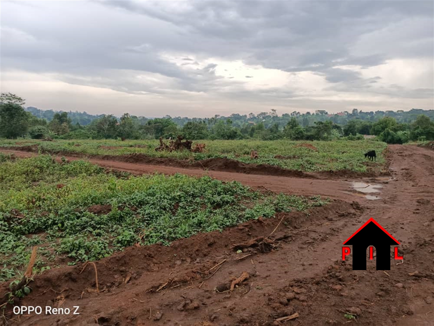 Agricultural Land for sale in Lukaaya Mukono