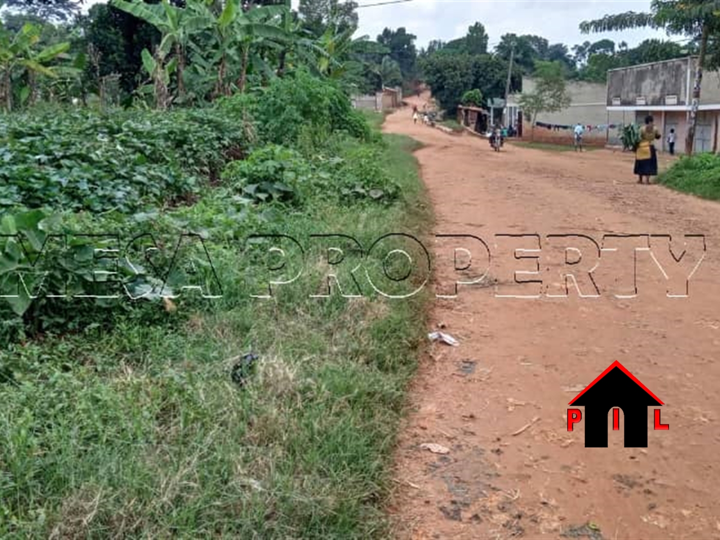 Agricultural Land for sale in Lubumba Mubende