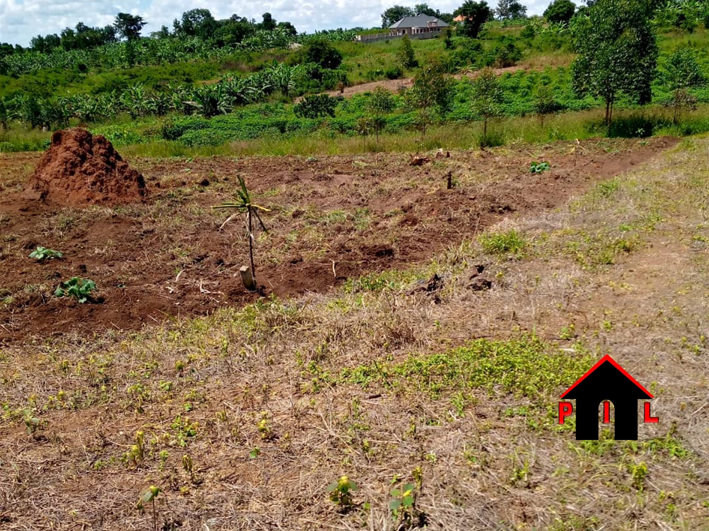 Agricultural Land for sale in Bugembe Nakasongola